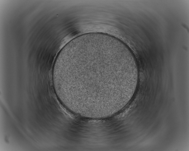 X0000097661521200803280940