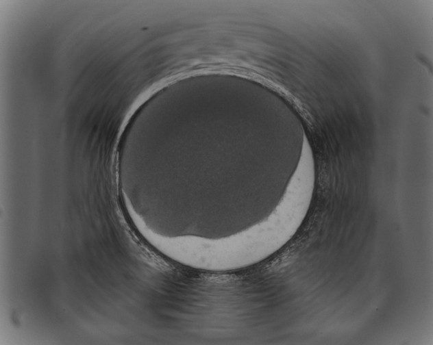 X0000097661522200803280940