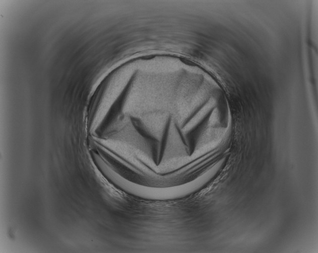 X0000097661524200803280940