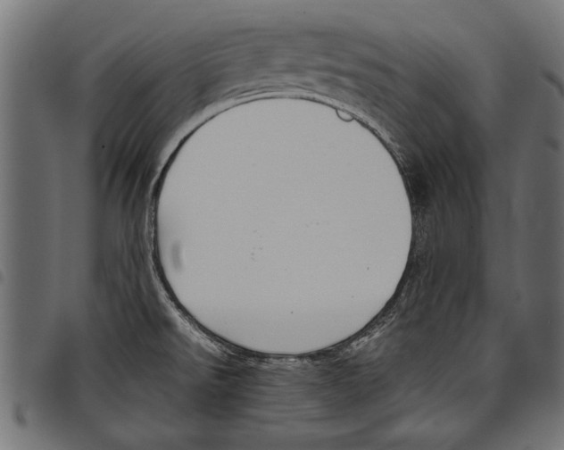 X0000097661526200803280940