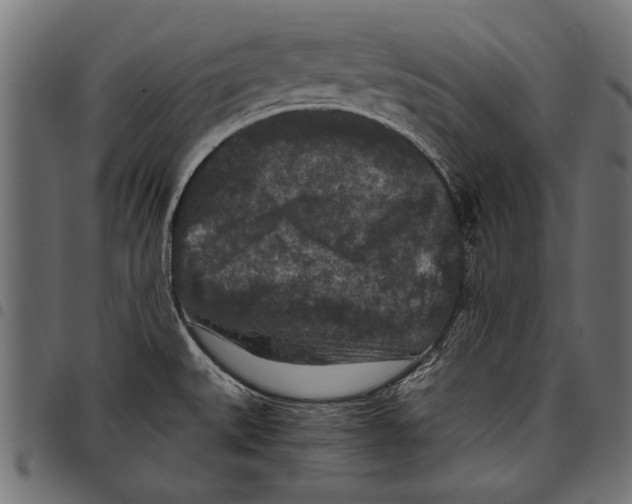 X0000097661527200803280940