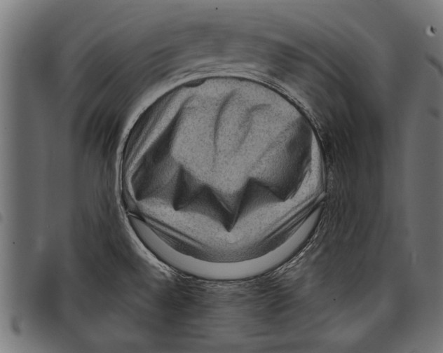 X0000097661528200803280940