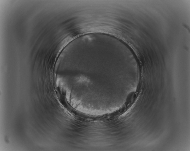 X0000097661529200803280940