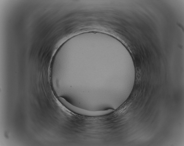 X0000097661535200803280940