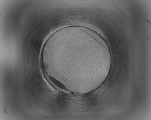 X0000097661536200803280940