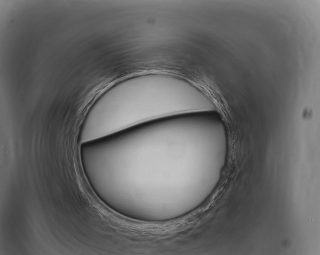 X0000097670001200802290957