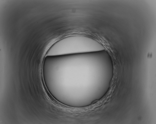 X0000097670003200802290957