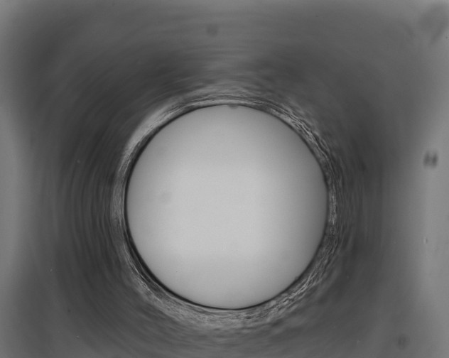 X0000097670004200802290957