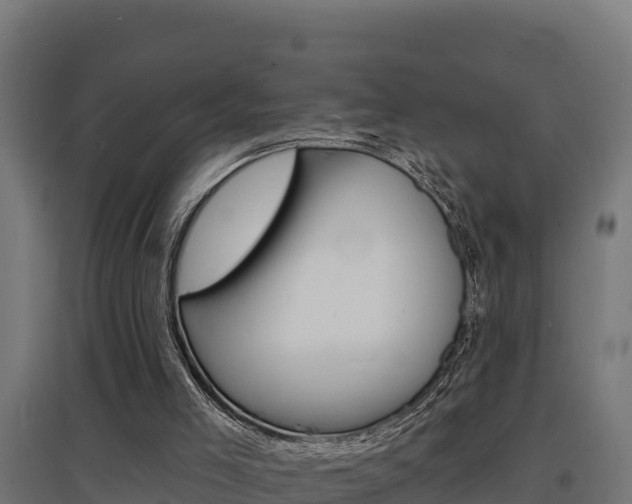 X0000097670005200802290957