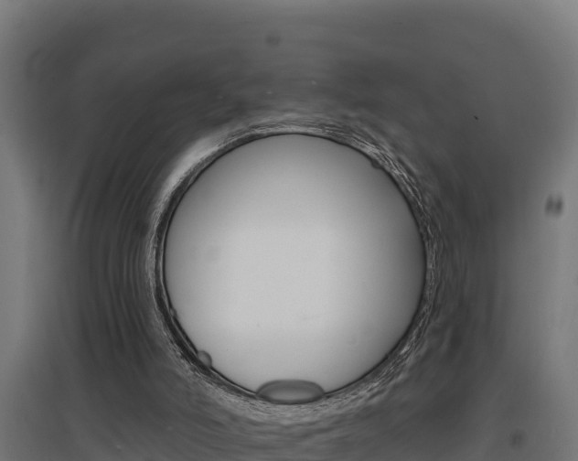 X0000097670006200802290957