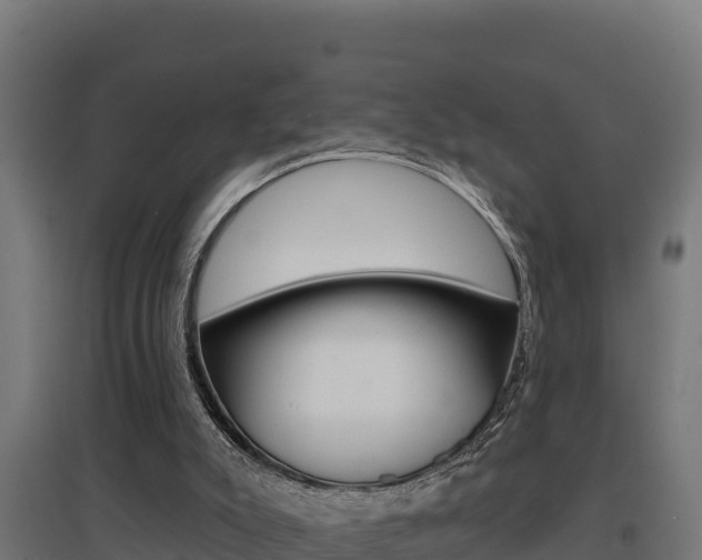 X0000097670007200802290957