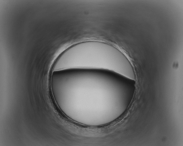 X0000097670008200802290957