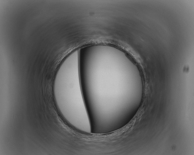 X0000097670009200802290957
