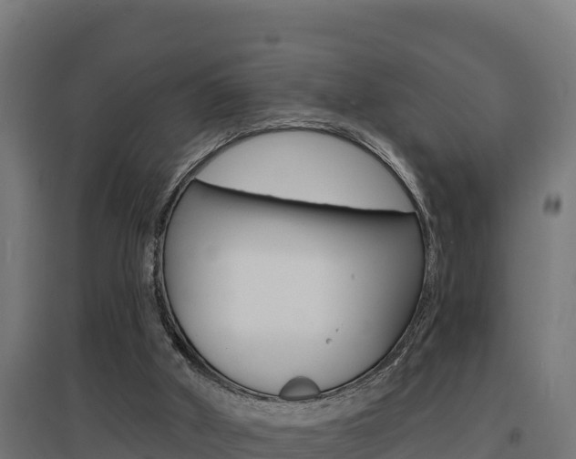 X0000097670010200802290957