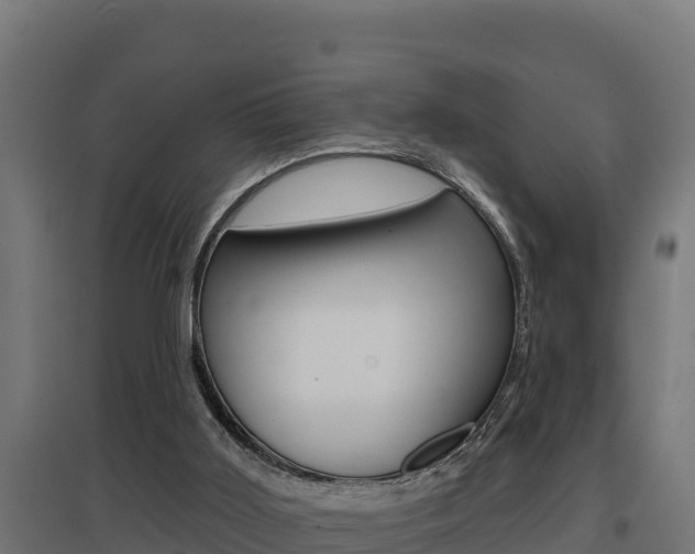X0000097670011200802290957