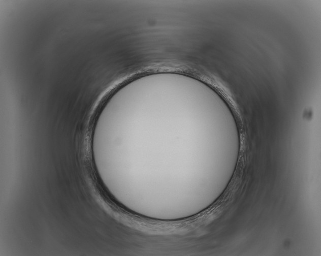 X0000097670012200802290957