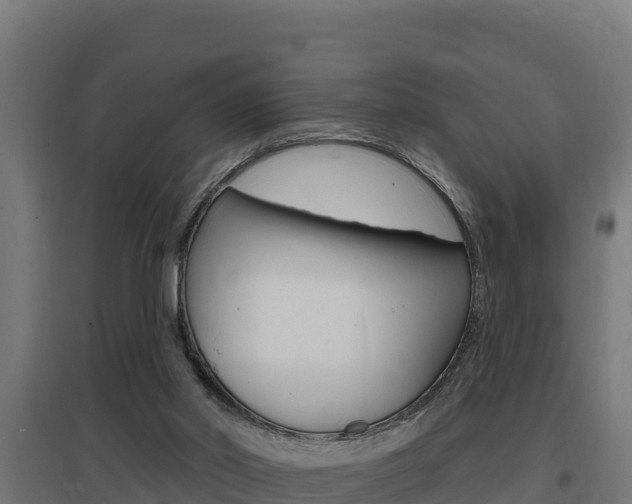 X0000097670014200802290957