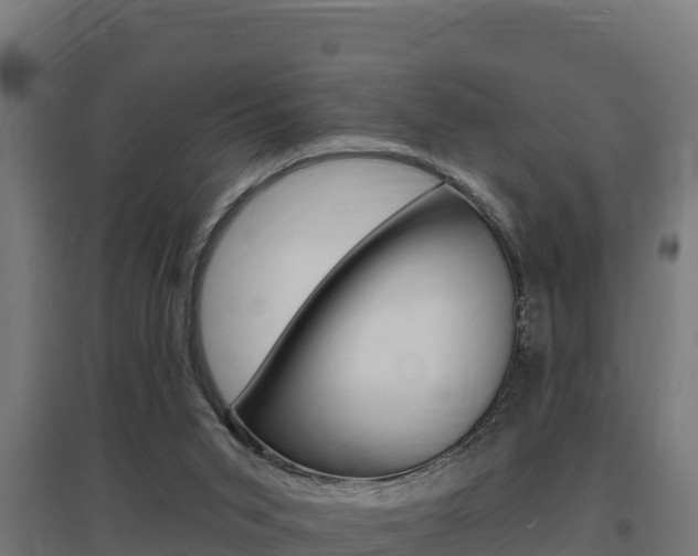 X0000097670015200802290956