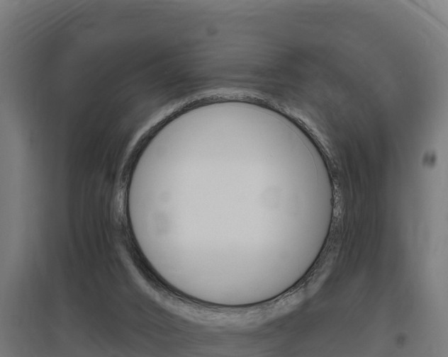 X0000097670016200802290956