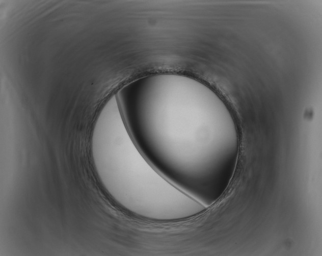 X0000097670017200802290956