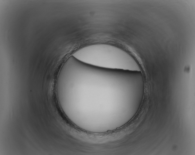X0000097670018200802290956