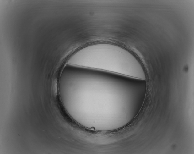 X0000097670020200802290956