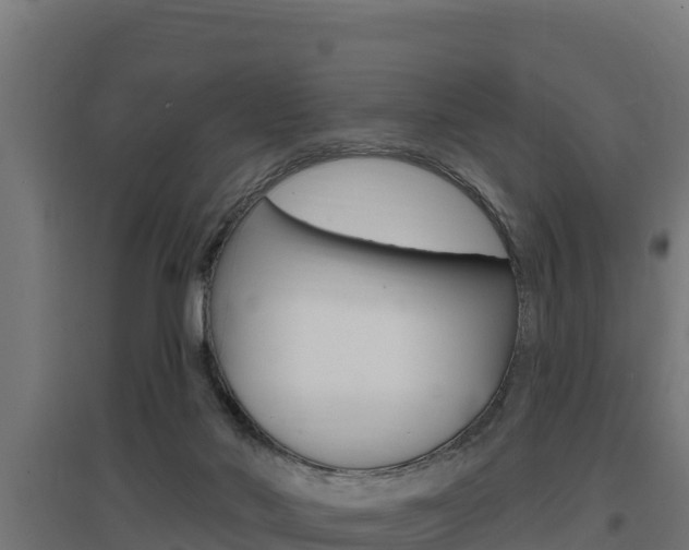 X0000097670022200802290956