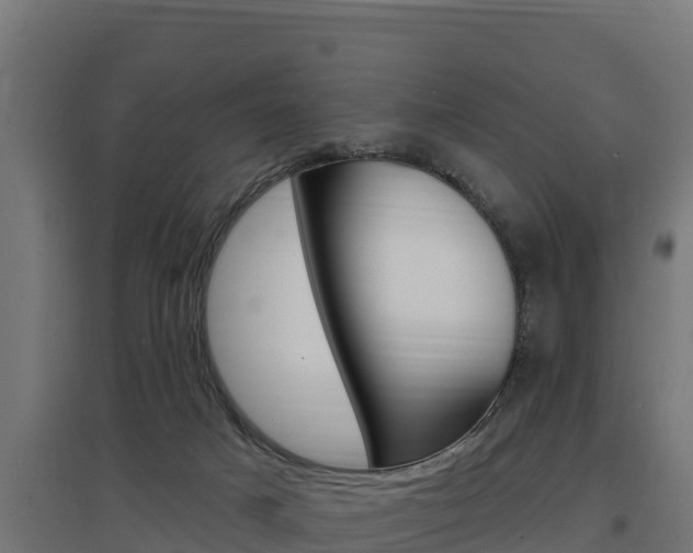 X0000097670025200802290956