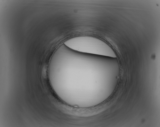 X0000097670026200802290956