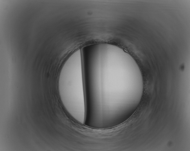 X0000097670027200802290956
