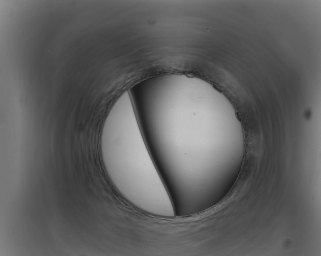 X0000097670029200802290956