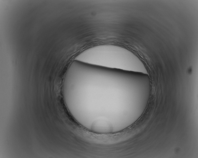 X0000097670030200802290956