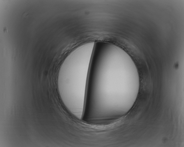X0000097670031200802290956