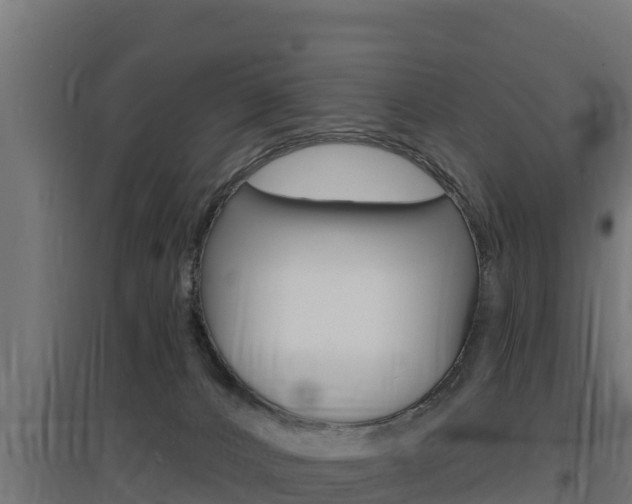 X0000097670032200802290956