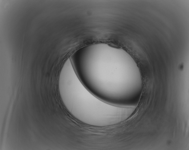 X0000097670033200802290956