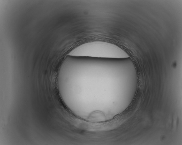 X0000097670034200802290956