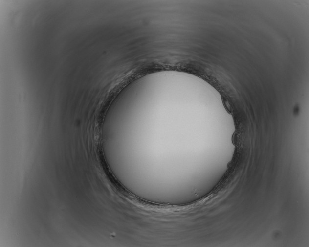 X0000097670040200802290956