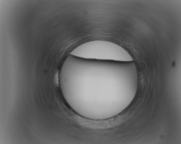 X0000097670042200802290956