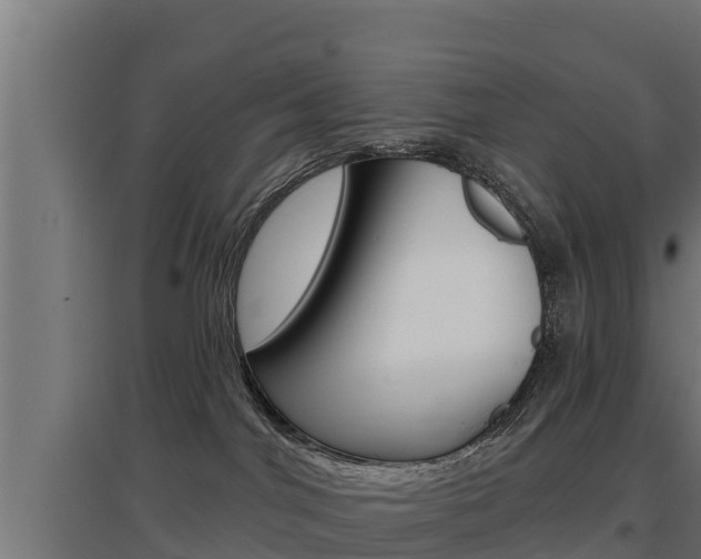X0000097670044200802290956