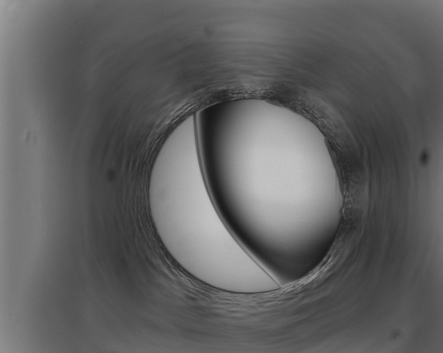 X0000097670045200802290956