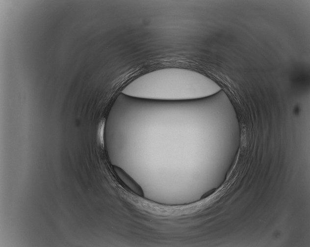 X0000097670047200802290956