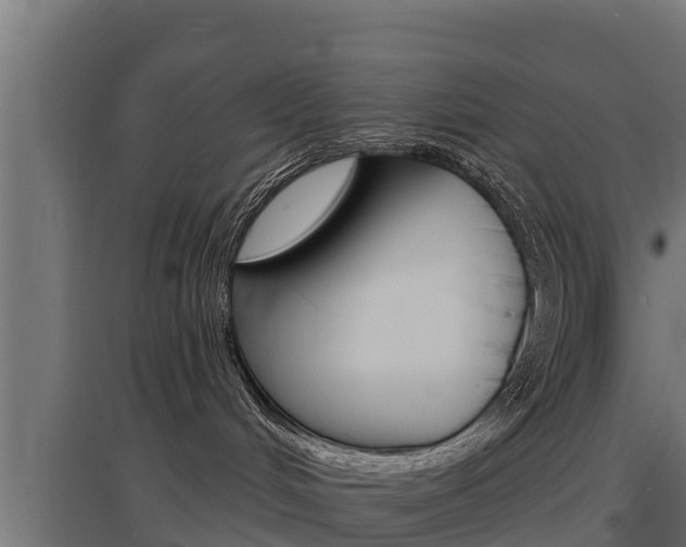 X0000097670048200802290956