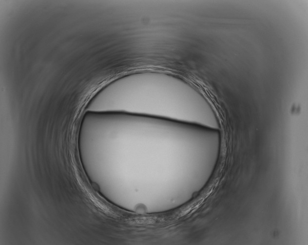 X0000097670049200802290955