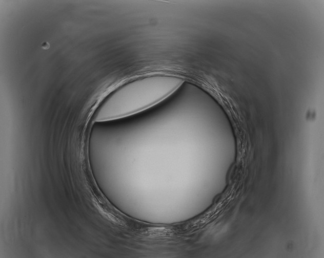 X0000097670050200802290955
