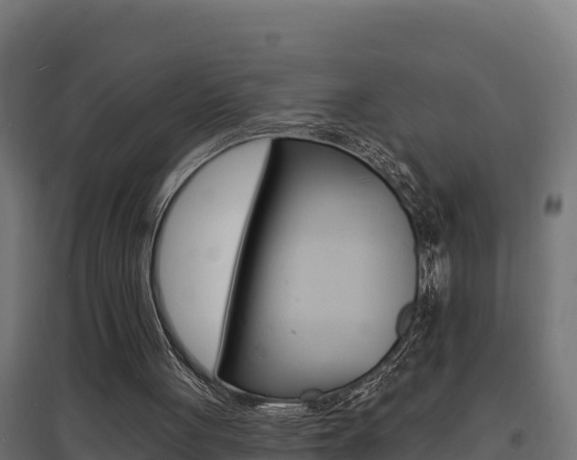 X0000097670051200802290955