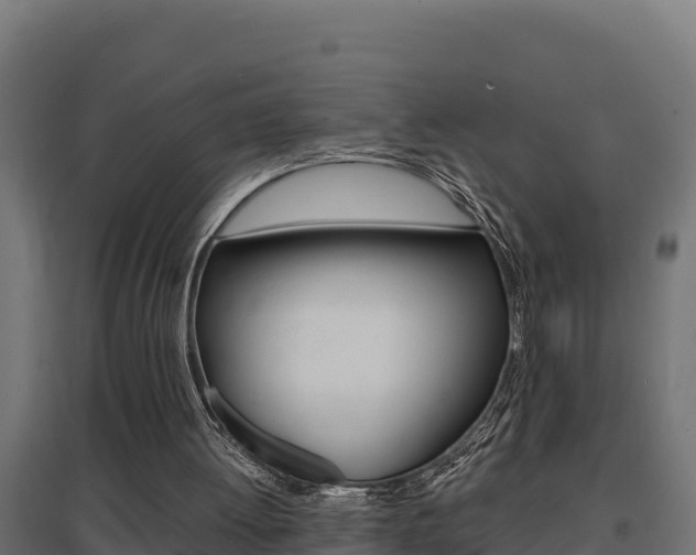 X0000097670052200802290955