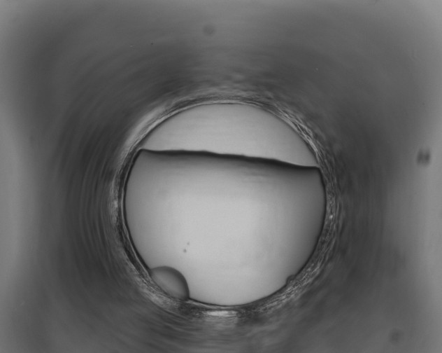 X0000097670053200802290955
