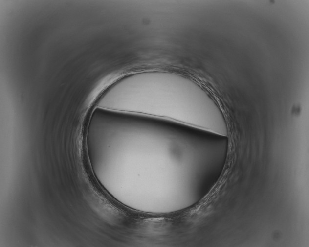 X0000097670054200802290955