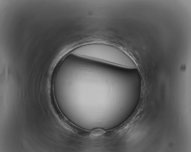 X0000097670055200802290955