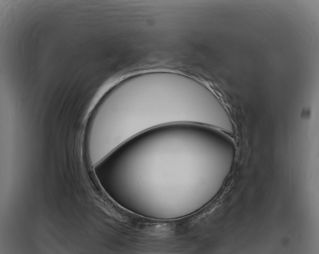 X0000097670056200802290955